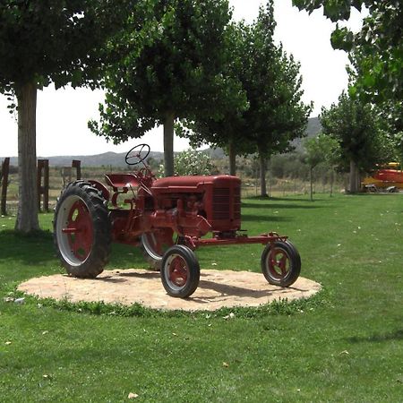 Sant Llorenç de Montgai La Noguera Camping מראה חיצוני תמונה