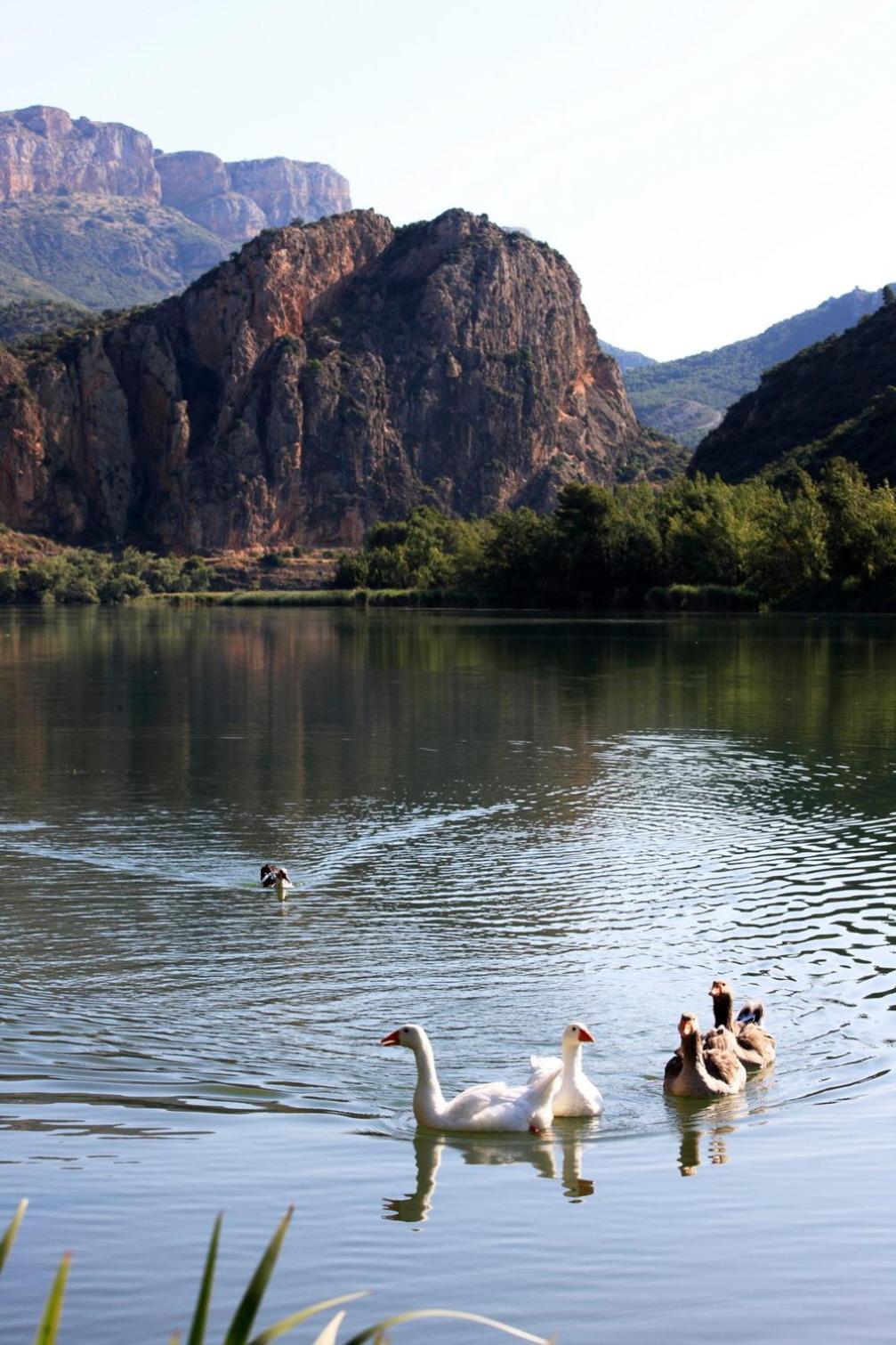 Sant Llorenç de Montgai La Noguera Camping מראה חיצוני תמונה